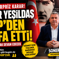 Siyaset