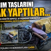 Sosyal