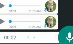 Android ve iOS İçin WhatsApp Ses Kaydı İndirme