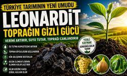 TOPRAĞIN GİZLİ GÜCÜ: LEONARDİT TÜRKİYE TARIMININ YENİ UMUDU