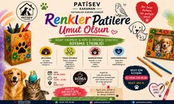 PATİSEV'DEN ANLAMLI ETKİNLİK: RENKLER PATİLER İÇİN BULUŞUYOR