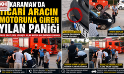 Karaman’da Ticari Aracın Motoruna Giren Yılan Paniğe Neden Oldu