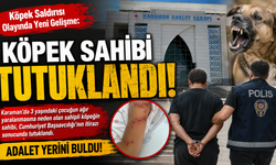 Köpek Saldırısı Olayında Yeni Gelişme: Köpek Sahibi Tutuklandı