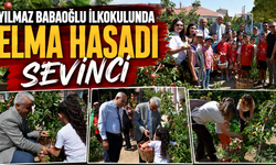 Yılmaz Babaoğlu İlkokulunda Elma Hasadı Sevinci