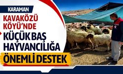 Karaman Kavaközü Köyü’nde küçükbaş hayvancılığa önemli destek