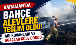 Karaman’da bahçe alevlere teslim oldu! Arı kovanları ve ağaçlar küle döndü