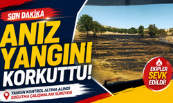 Morcalı Köyü’nde anız yangını!