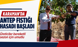 Karaman’da Antep fıstığı hasadı başladı: Üreticiler bereketli sezon için umutlu