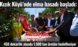 Kızık Köyü’nde elma hasadı başladı: 450 dekarlık alanda 1.500 ton üretim hedefleniyor