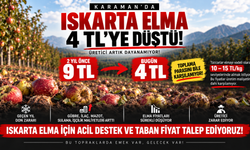 Karaman’da Iskarta Elma Fiyatları 4 TL’ye Kadar Geriledi