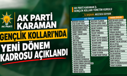 AK Parti Karaman Gençlik Kolları’nda Yeni Dönem Kadrosu Açıklandı