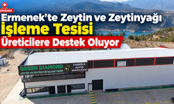 Ermenek’te zeytin ve zeytinyağı işleme tesisi üreticilere destek oluyor