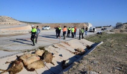 koyun sürüsüne dalan iki motosikletteki 3 kişi yaraladı