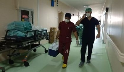 22 yaşındaki Arife'nin organları 4 hastaya umut oldu