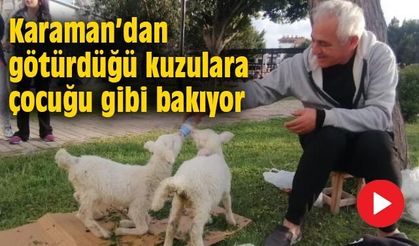 Karaman'dan götürdüğü kuzulara çocuğu gibi bakıyor