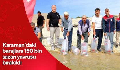 Karaman’daki barajlara 150 bin sazan yavrusu bırakıldı