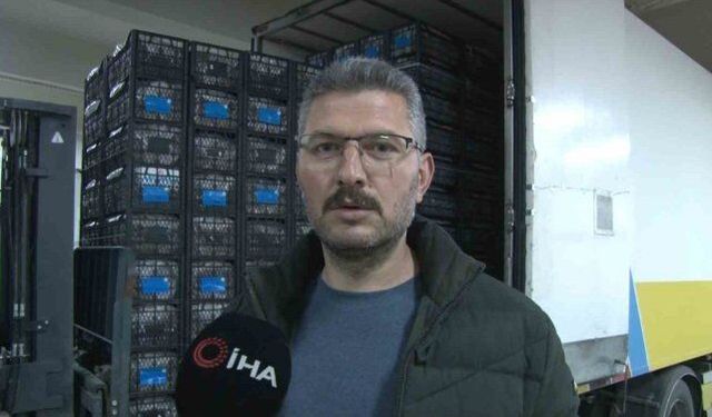 Kapadokya çileği ekonomiye 700 bin dolar katkı sağlıyor