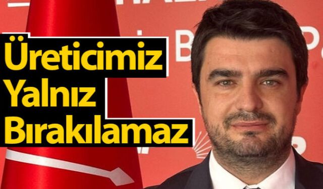 Mustafa Mut: 'Karamanlı Üreticiler Zor Durumda, Yardım Edilmeli'