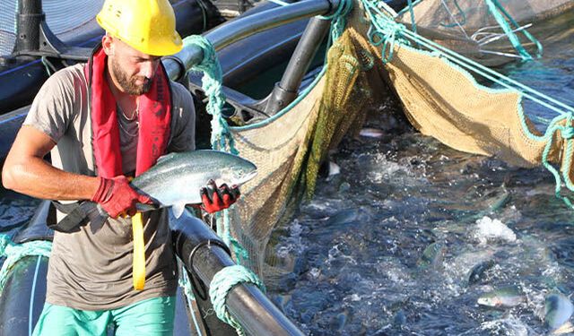 Karadeniz'den Dünyaya Lezzet Yolculuğu
