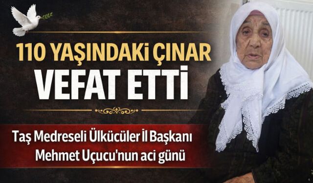 110 YAŞINDAKİ ÇINAR VEFAT ETTİ