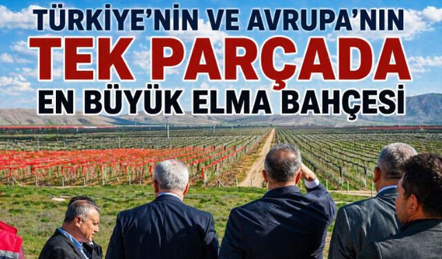 Türkiye"nin ve Avrupa"nın tek parçada en büyük elma bahçesi