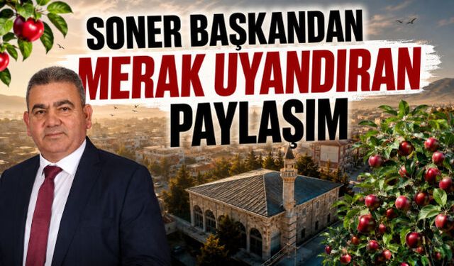 SONER BAŞKANDAN MERAK UYANDIRAN PAYLAŞIM