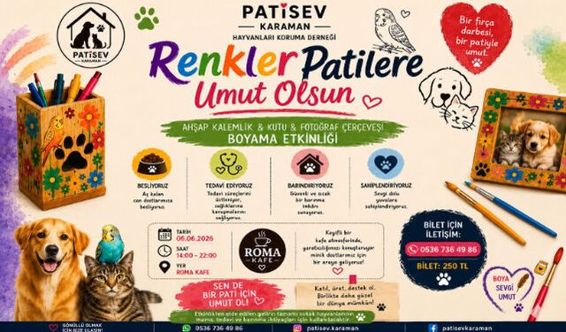 PATİSEV'DEN ANLAMLI ETKİNLİK: RENKLER PATİLER İÇİN BULUŞUYOR