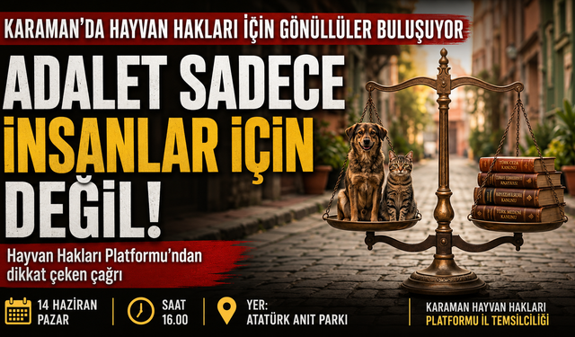 Karaman’da Hayvan Hakları İçin Gönüllüler Buluşuyor