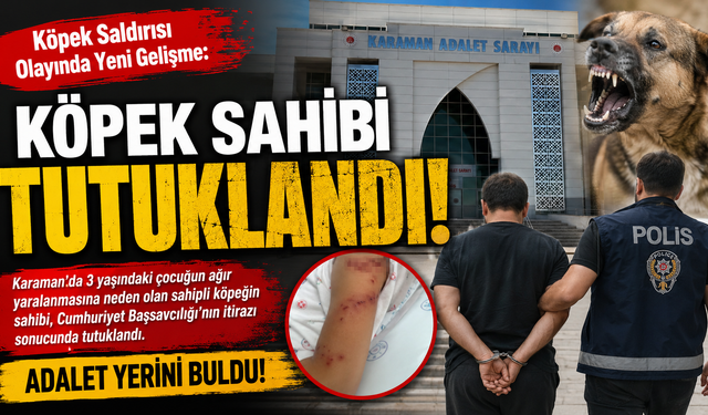 Köpek Saldırısı Olayında Yeni Gelişme: Köpek Sahibi Tutuklandı