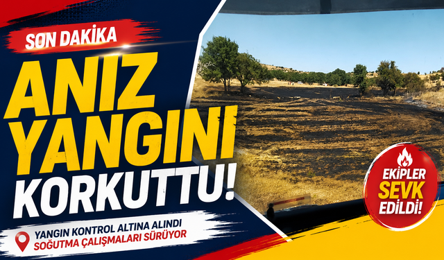 Morcalı Köyü’nde anız yangını!