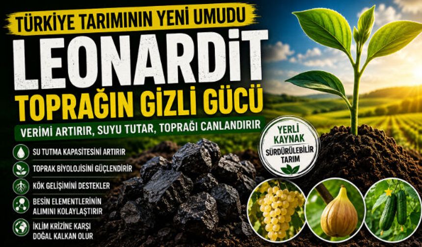 TOPRAĞIN GİZLİ GÜCÜ: LEONARDİT TÜRKİYE TARIMININ YENİ UMUDU