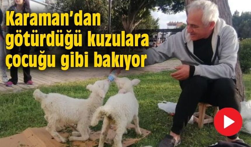 Karaman'dan götürdüğü kuzulara çocuğu gibi bakıyor