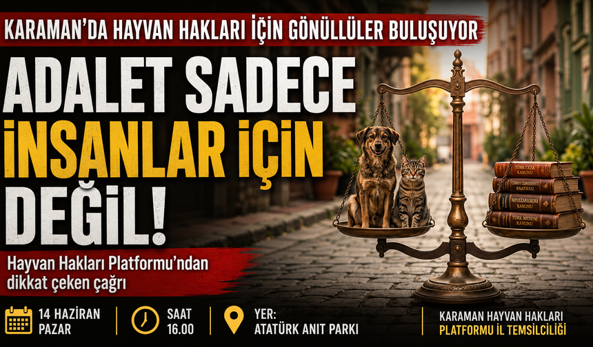 Karaman’da Hayvan Hakları İçin Gönüllüler Buluşuyor