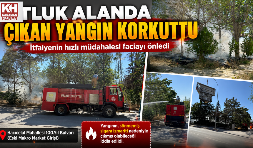 Otluk Alanda Çıkan Yangın Korkuttu