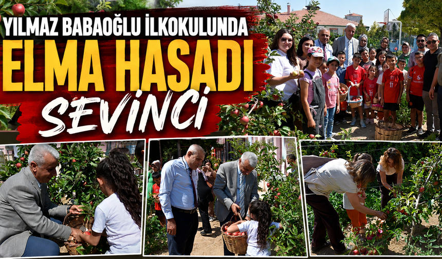 Yılmaz Babaoğlu İlkokulunda Elma Hasadı Sevinci
