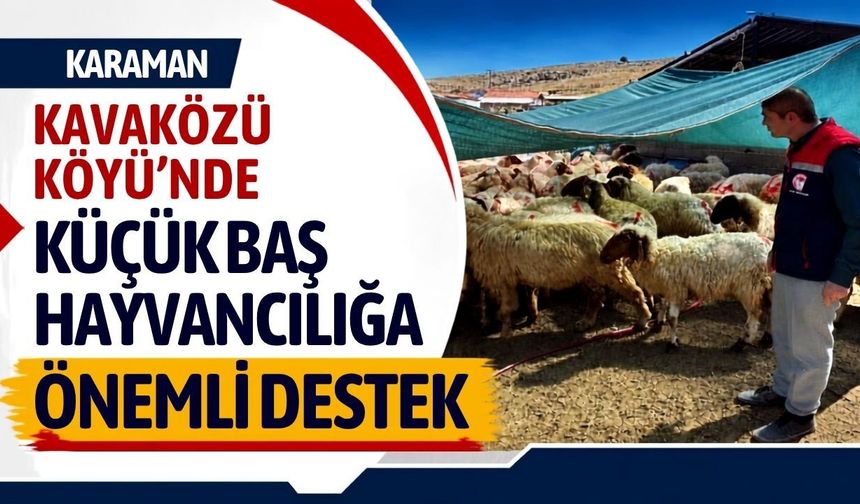 Karaman Kavaközü Köyü’nde küçükbaş hayvancılığa önemli destek