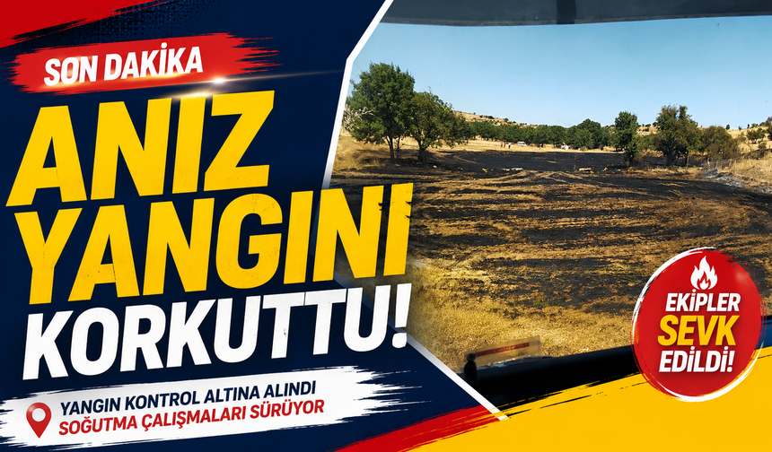 Morcalı Köyü’nde anız yangını!