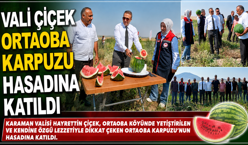 VALİ ÇİÇEK, ORTAOBA KARPUZU HASADINA KATILDI