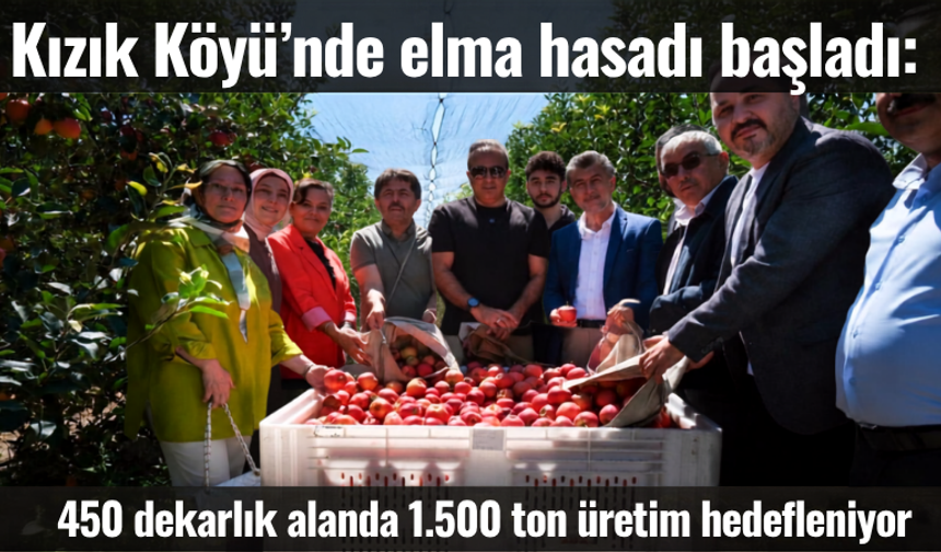 Kızık Köyü’nde elma hasadı başladı: 450 dekarlık alanda 1.500 ton üretim hedefleniyor