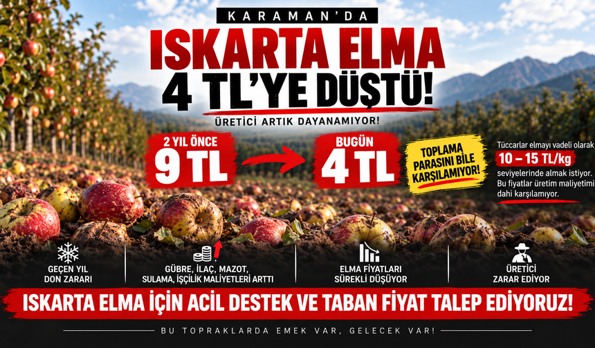Karaman’da Iskarta Elma Fiyatları 4 TL’ye Kadar Geriledi