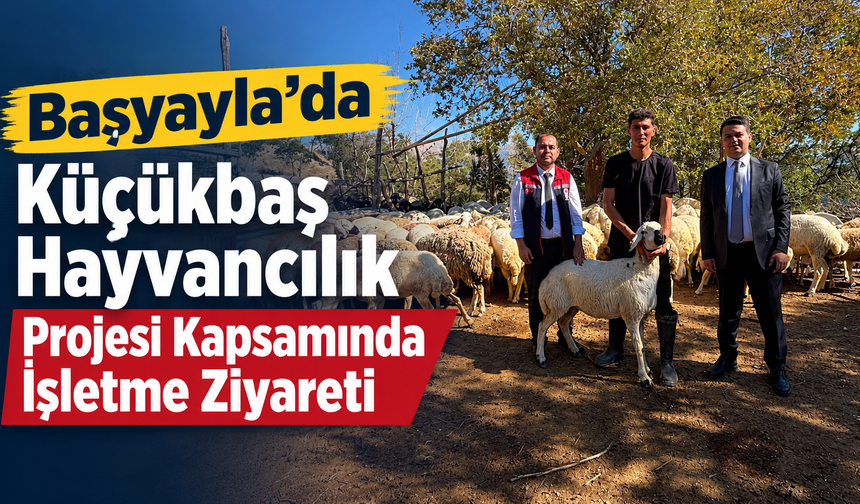 Başyayla’da Küçükbaş Hayvancılık Projesi Kapsamında İşletme Ziyareti
