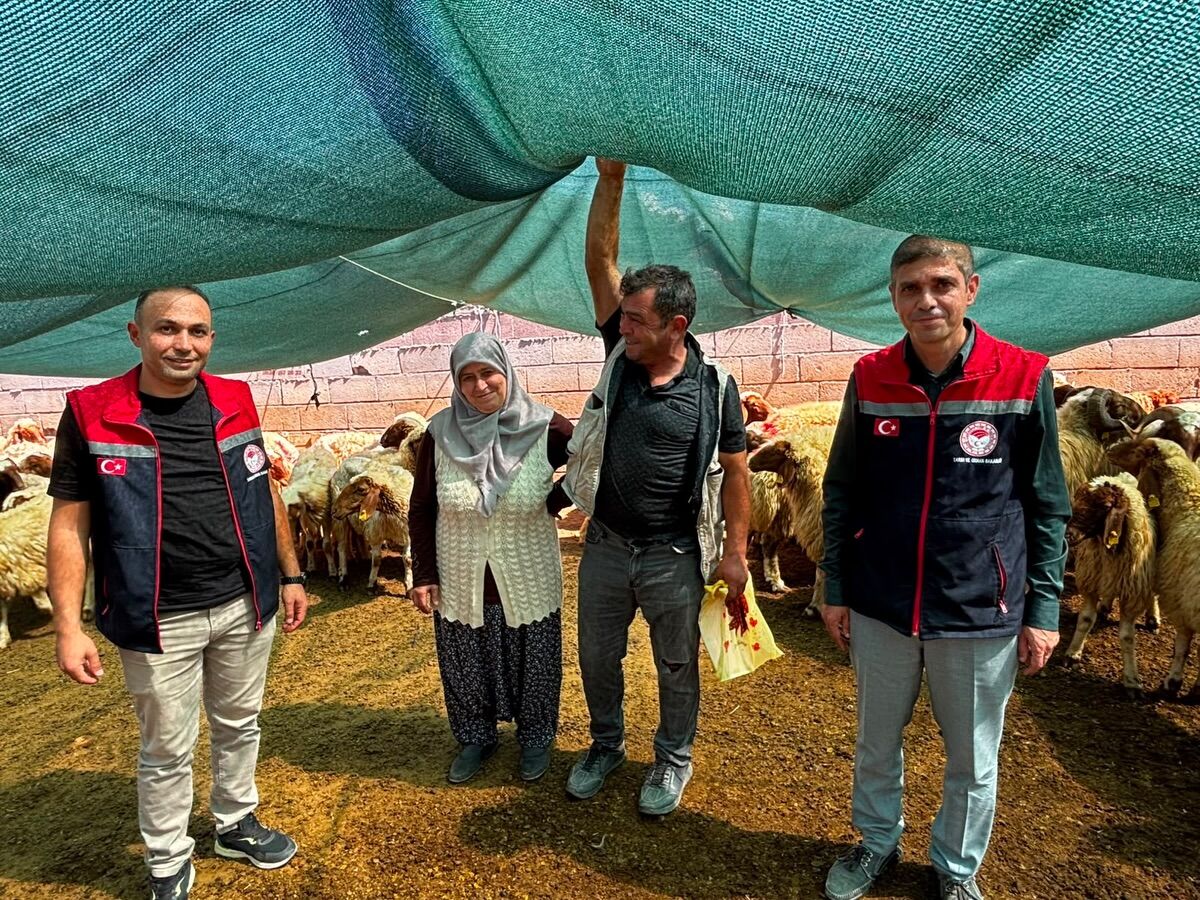 Karaman Kavakozu Koyunde Kucukbas Hayvanciliga Onemli Deste 2